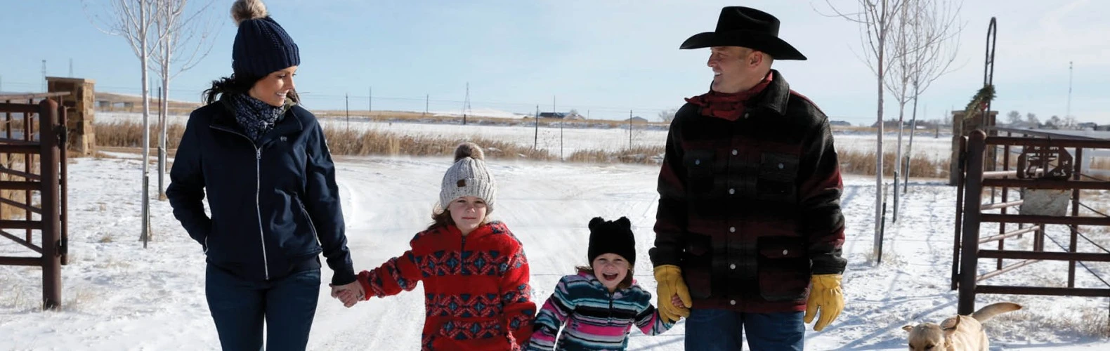 Cinch Shop -Cinch Shop 1